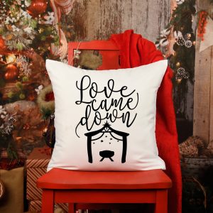 Jesus Is The Reason Pillow Cover